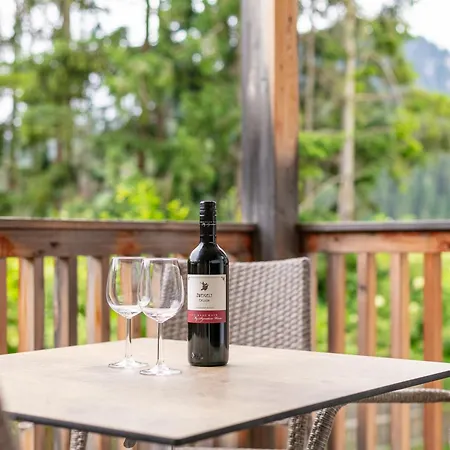 Apart33 2-3c Appartement Haus im Ennstal